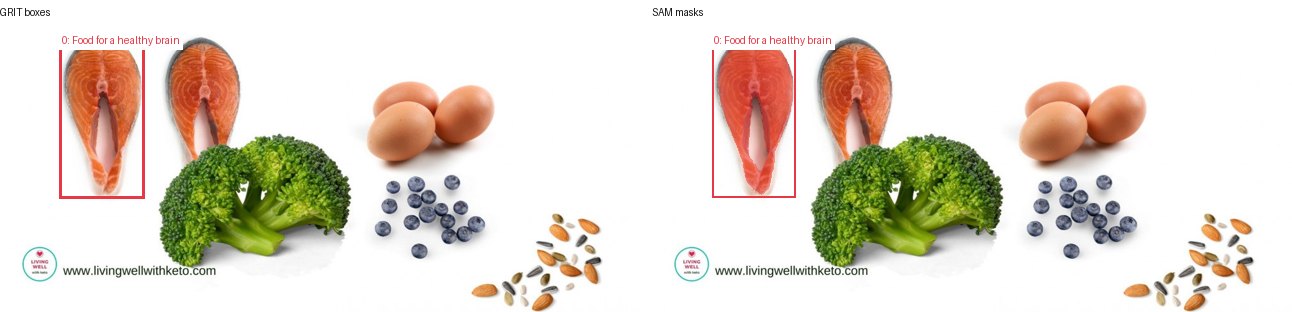 GRIT boxes and SAM masks