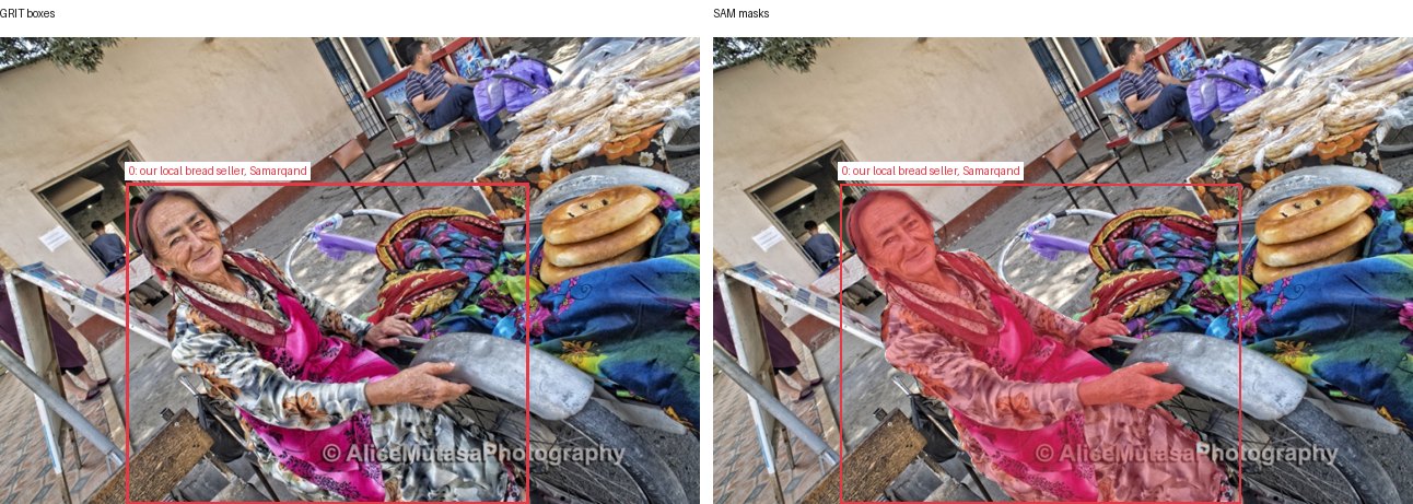 GRIT boxes and SAM masks