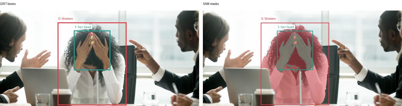 GRIT boxes and SAM masks
