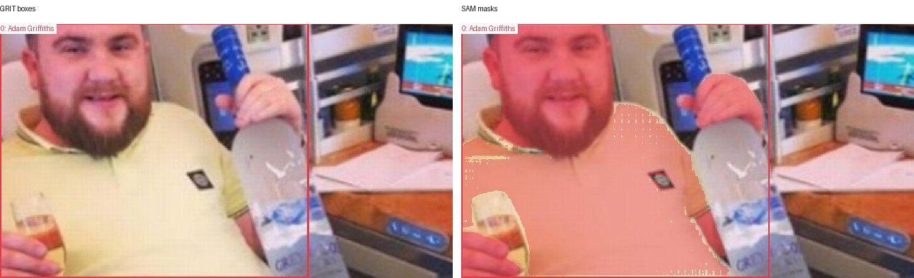 GRIT boxes and SAM masks