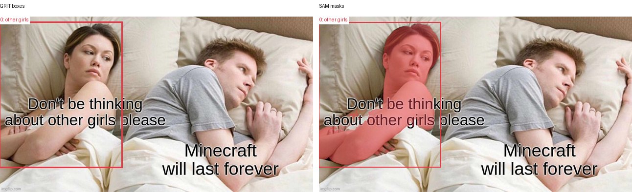GRIT boxes and SAM masks
