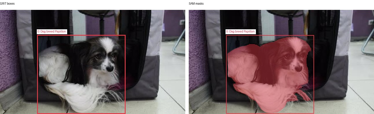 GRIT boxes and SAM masks