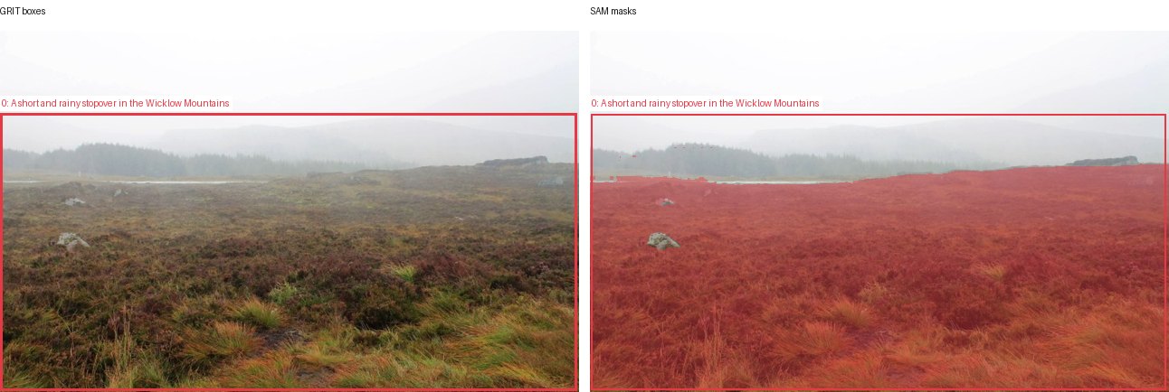 GRIT boxes and SAM masks