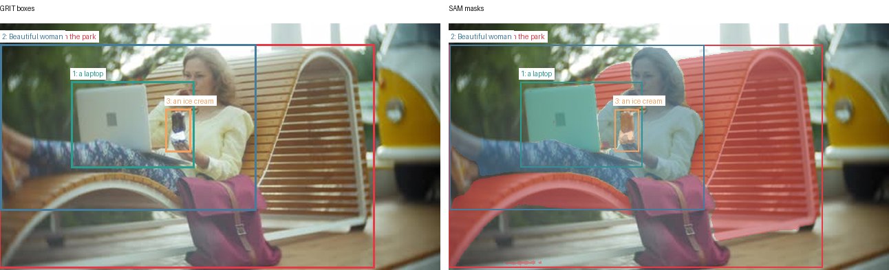 GRIT boxes and SAM masks
