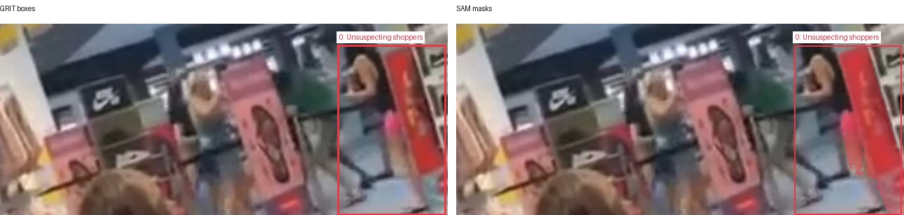 GRIT boxes and SAM masks