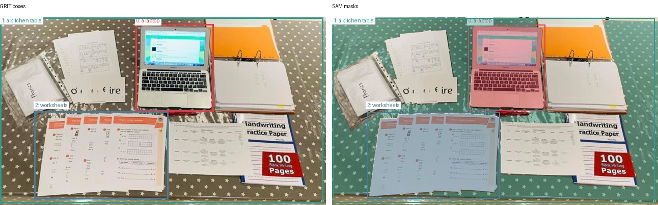 GRIT boxes and SAM masks
